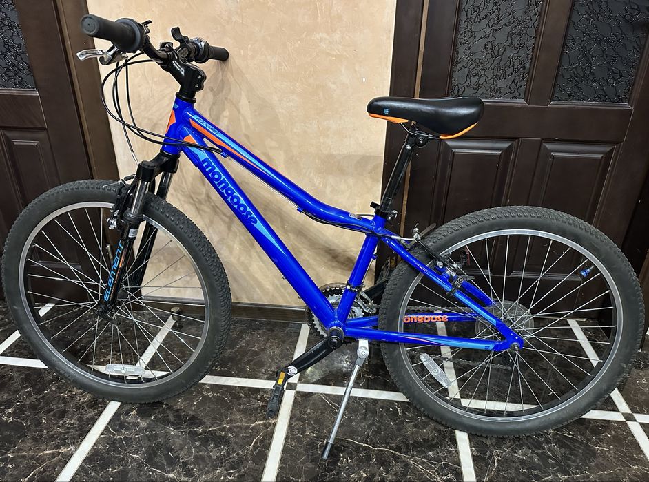 Велосипед підлітковий Mongoose Rockadile 24