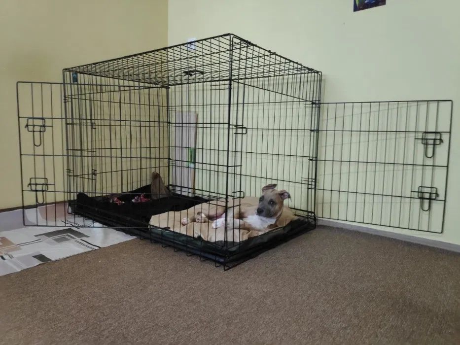 Клетка для собак , переноска , клітка для котів , будка , бокс