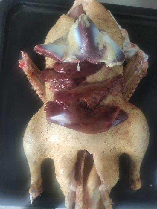 Тушка качки муларда