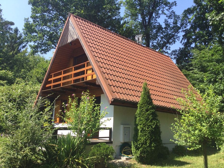 domek letniskowy otoczony lasem
