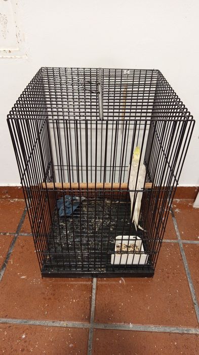 Gaiola Grande para pássaros