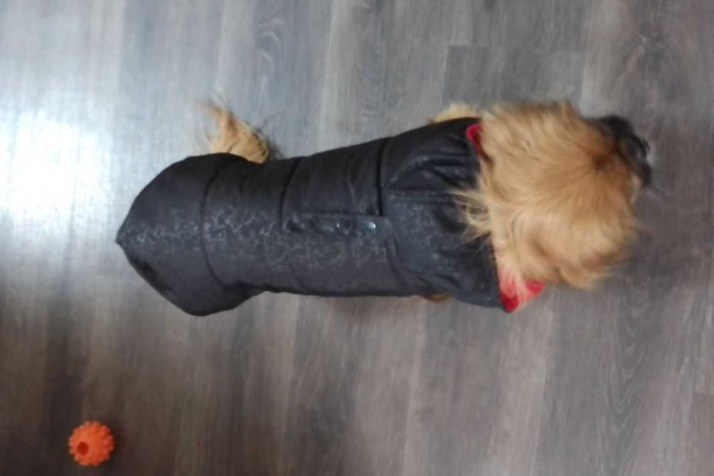 Куртка-накидка для собак НОВА