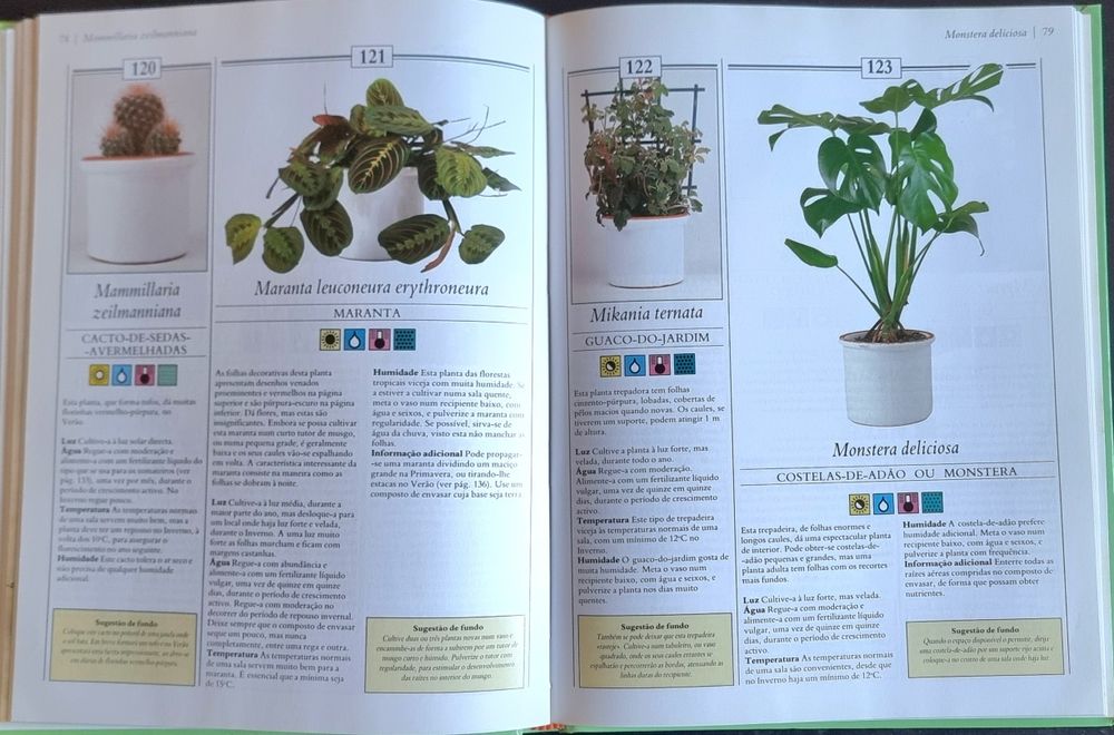 200 Plantas de Interior