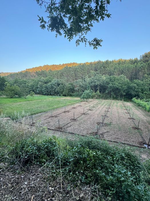 Terreno para Venda