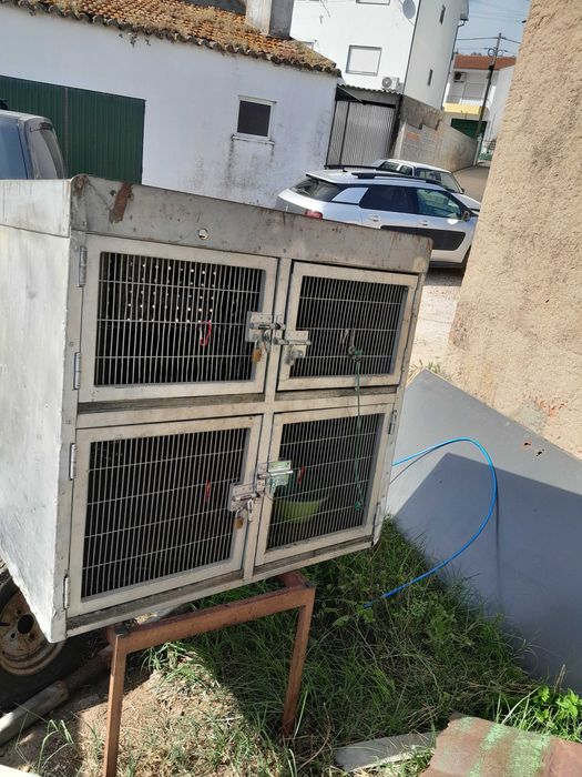 Caixa transportadora de caes