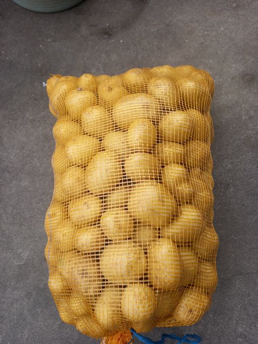 Vende-se batata nova