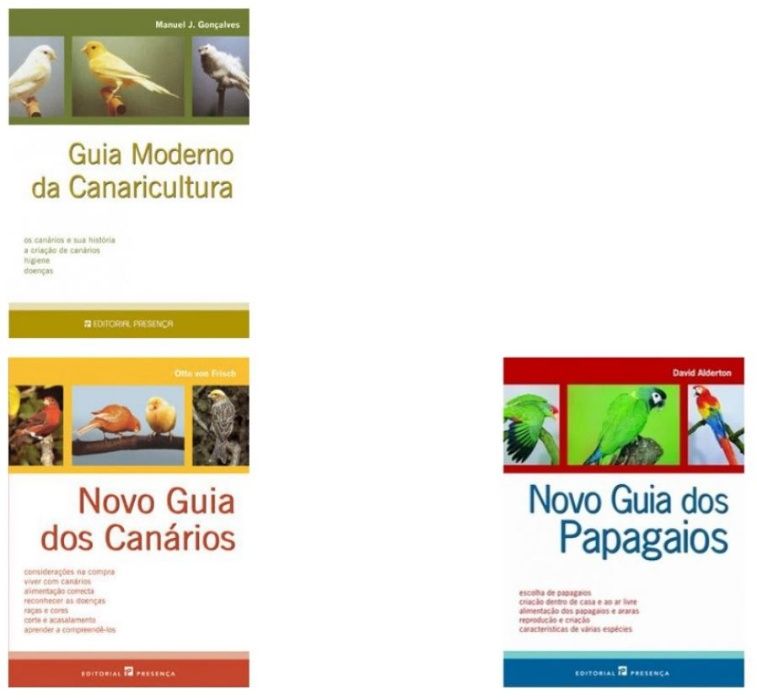 Cartaz poster de aves, passaros, nomes em varias linguas, mutações