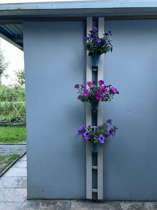 Sprzedam Działka ROD Oleśnica - Widok 3