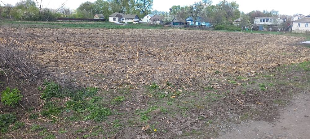 Продам земельну ділянку 0.25 га