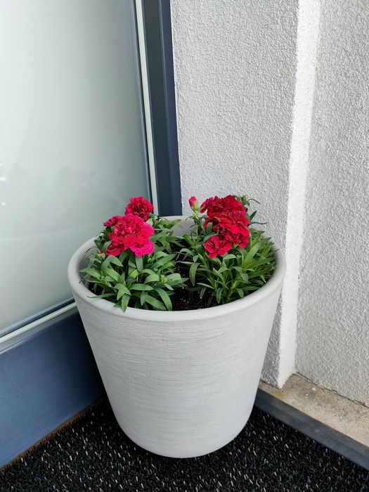 Donica duża  szara+ gratis 2 donice antracytowe