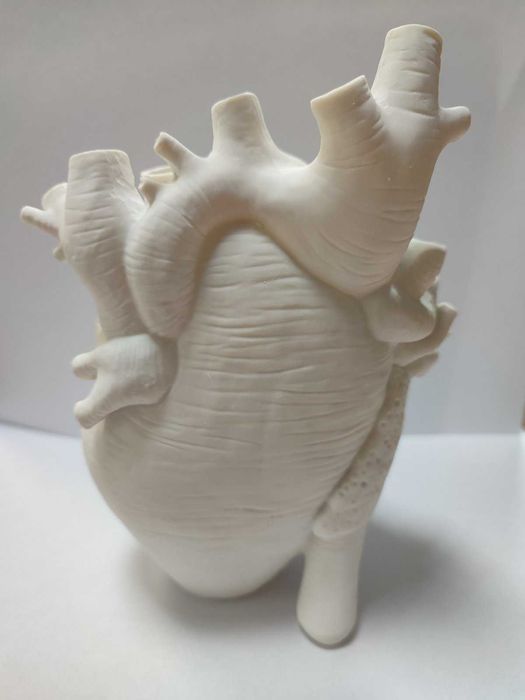 Ваза у формі анатомічного серця