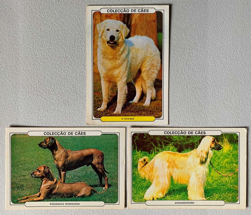 Calendários de 1986 - Cães (preço unitário)