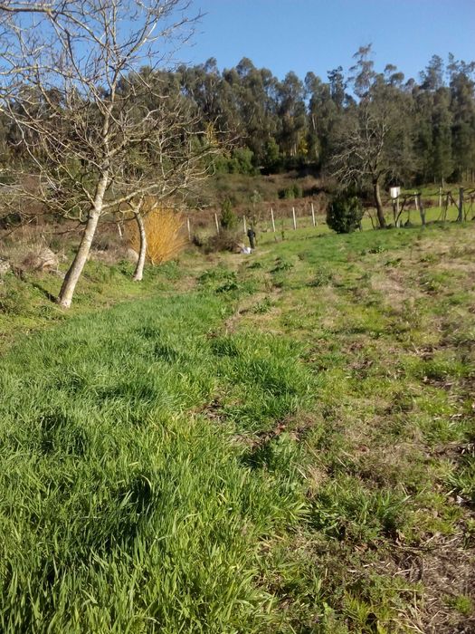 Terreno Agrícola
