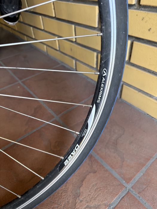 Rower Giant OCR Special