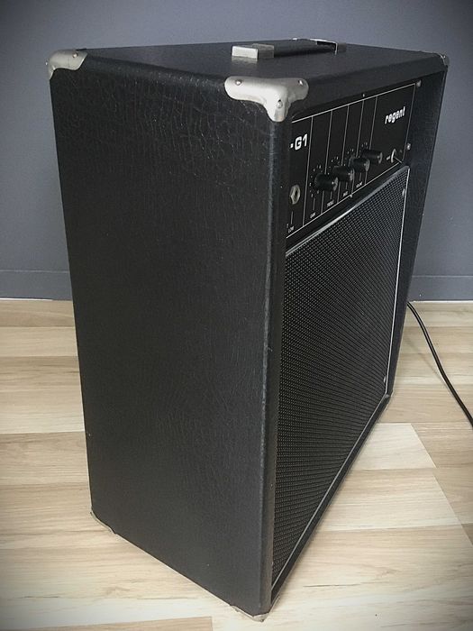 Wzmacniacz kolumna combo piecyk gitarowy REGENT 25-G1