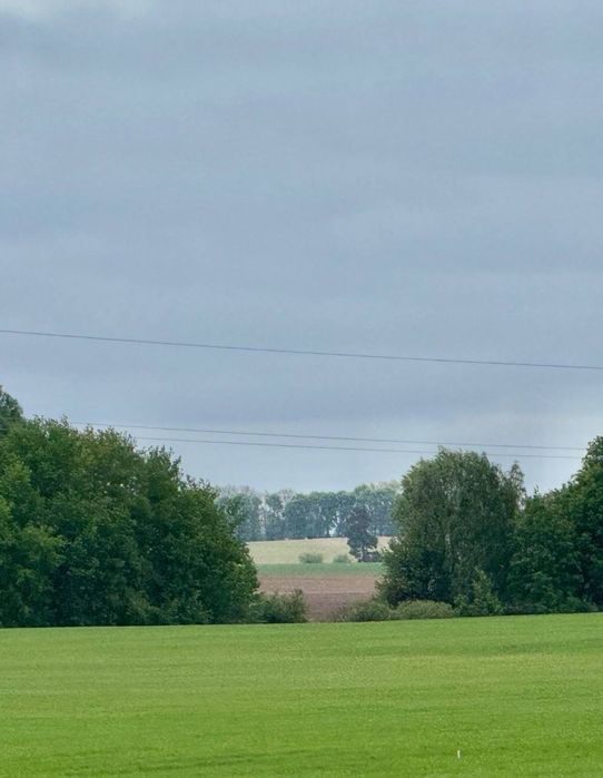 Продаж земельної ділянки під агробізнес у Воронькові - View 2