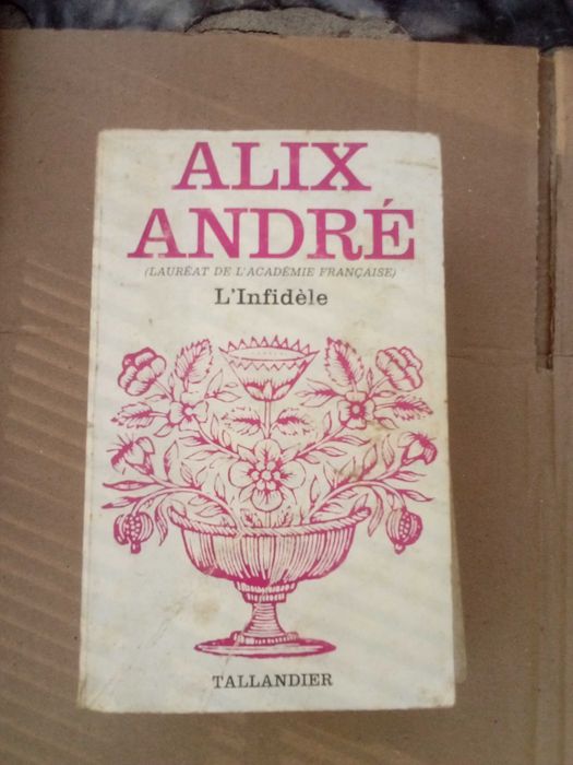 decorações de Natal e livros