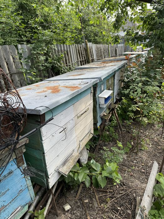 Вулики без бджіл