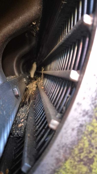 Свіжий комбайн Claas Dominator 98SL ГІДРОХІД Кондиціонер 2900мтг