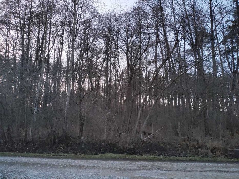 Продам земельну ділянку 7-сот під садівництво СОТ Озеро