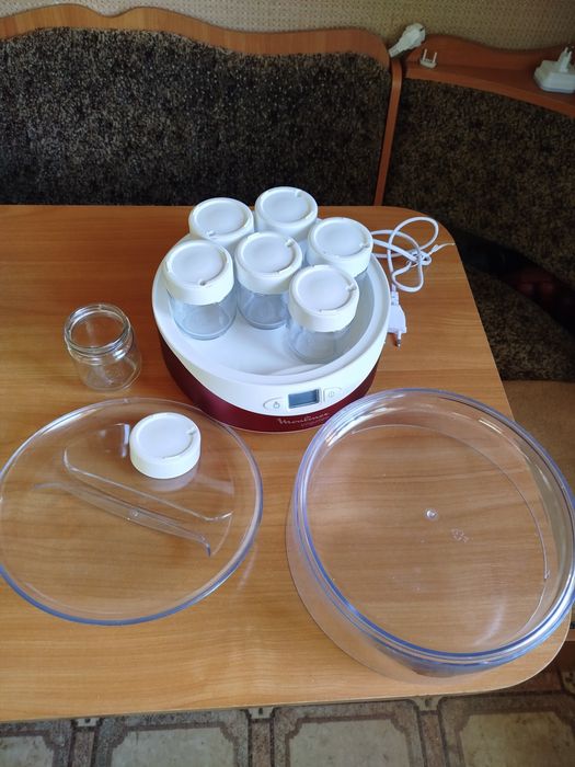 Йогуртниця Moulinex Yogurteo YG231