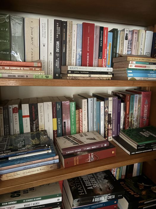 Livros enciclopedias e banda desenhada