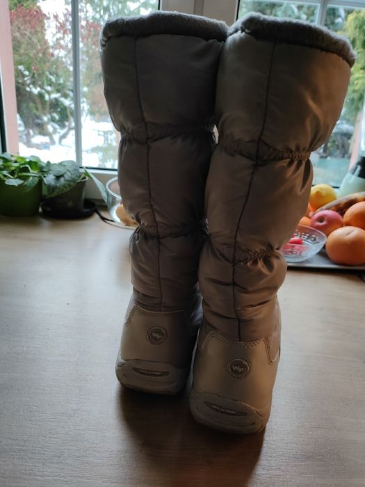 Srebrzyste buty na śnieg