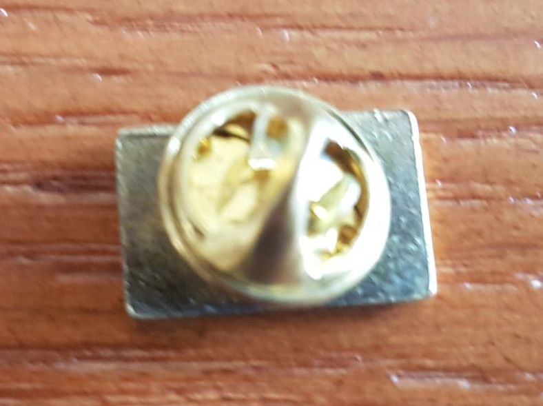 Pin ICP (Novo)