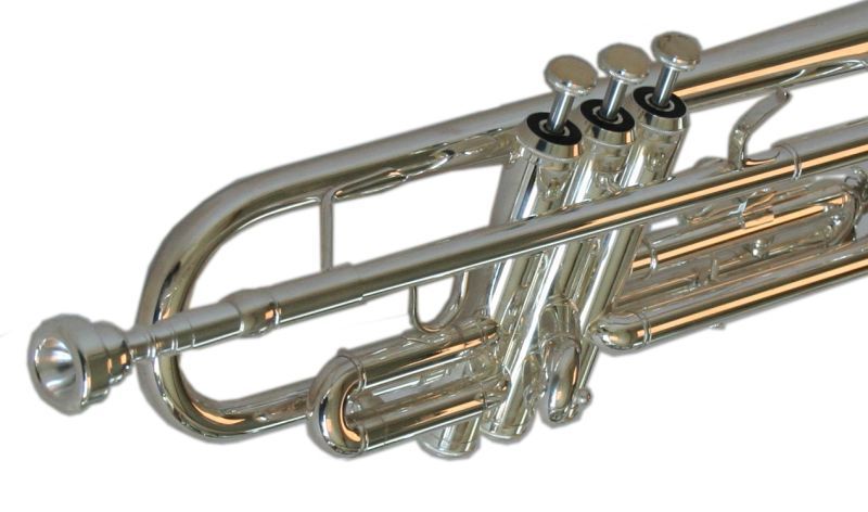 Trompete prateado novo