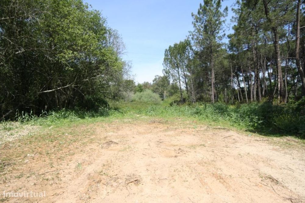 Terreno, Condeixa-a-Nova, Condeixa