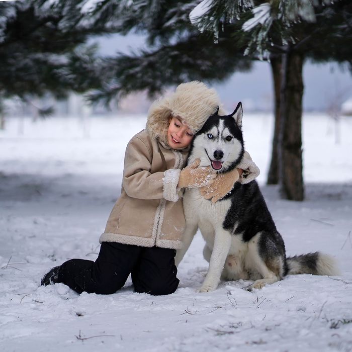 Хаски для вязки