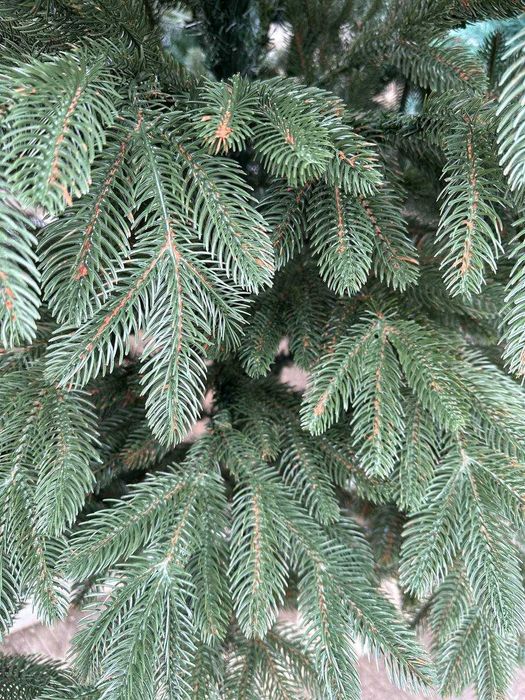 Ялинка штучна Лита ПРЕМІУМ (1.5м - 2.5м) Як справжня! Виробник