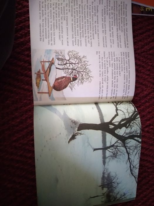 Literatura infantil polaca
