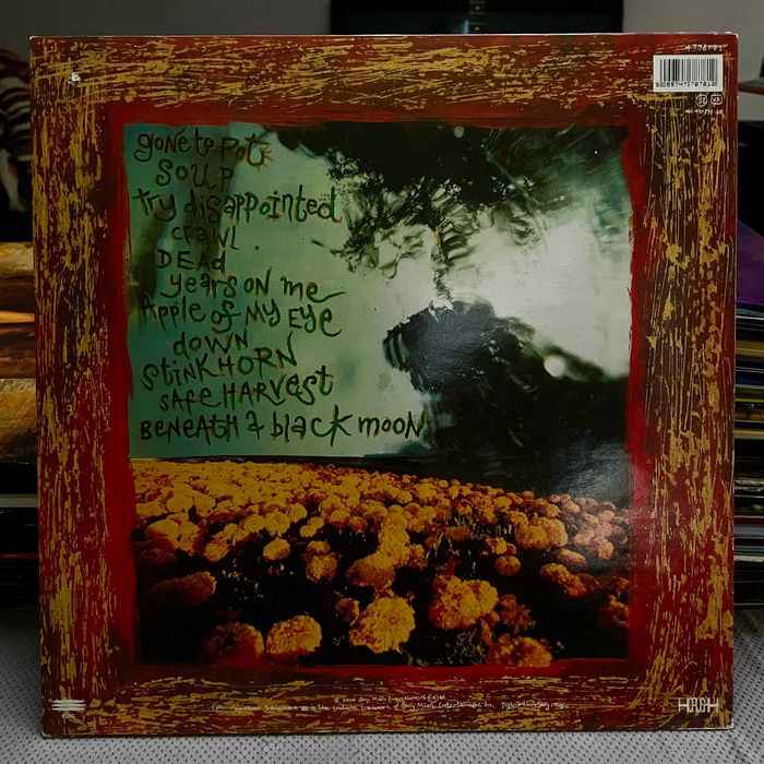 Headswim - Flood 1994 Jedyne wydanie na winylu LP Grunge Rock Polecam!