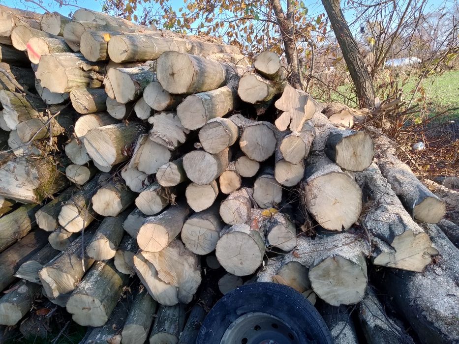 Drewno rozpalkowe opałowe kominkowe