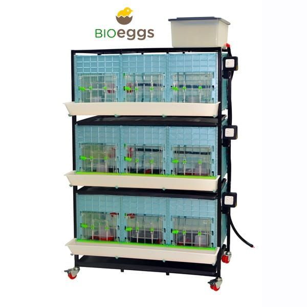 Odchowalnik dla piskląt -  3 Poziomy - Wys. 40 cm