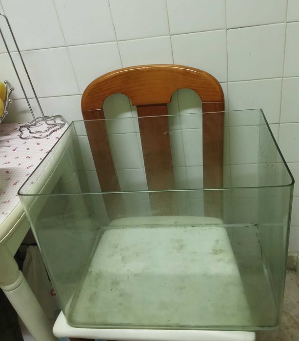 Aquário para peixes ótimo estado