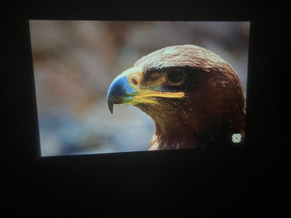 Проектор Magcubic HY300 pro Дропшипінг. ОПТ