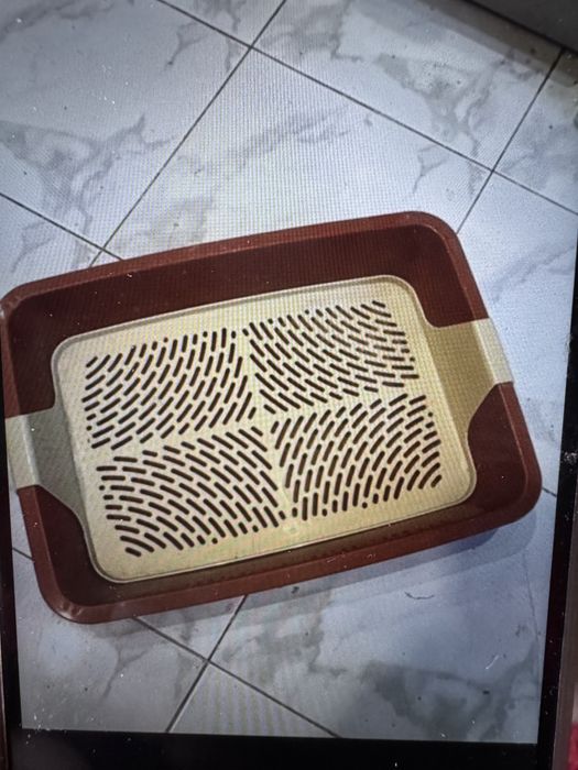 Туалет, лоток для вашого улюбленця, Італія