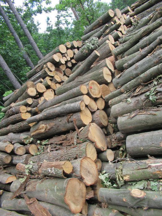 Metrówki opałowe, różne gatunki!