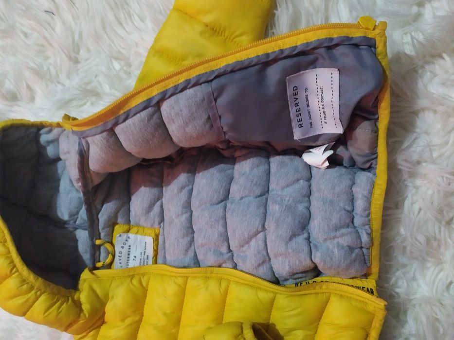 Kurteczka wiosenna reserved.