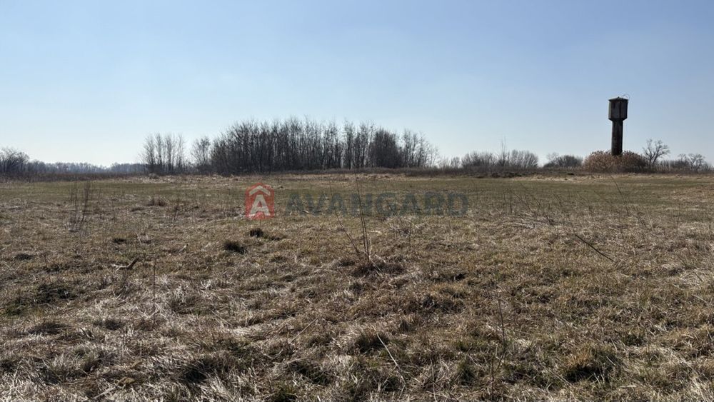 продаж земельних ділянок в25-65сот с. Затишне 25км до Києва - View 2