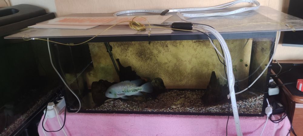 Продам аквариум на 180 литров