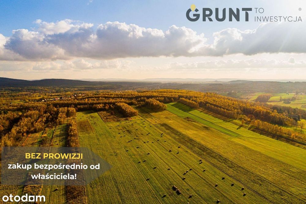 Działka budowlane przy lesie