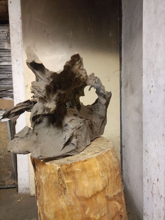 Akwarium 500 litrów