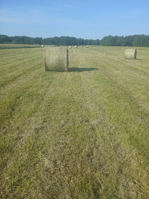 Sprzedam siano.     .