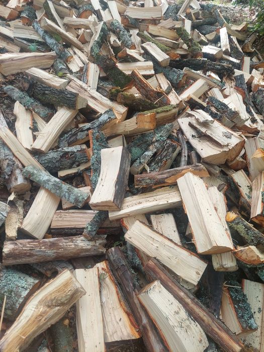 Lenha seca de mistura