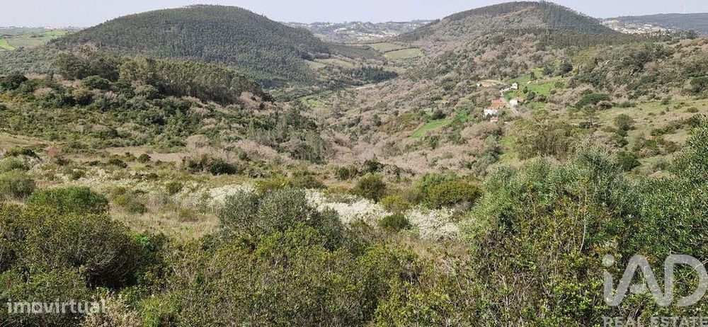 Terreno Agrícola em Mafra