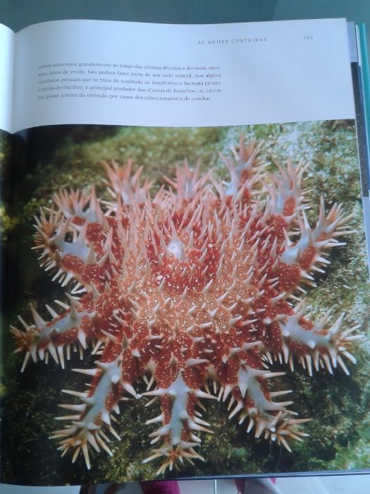 Lugares Sentidos e Oceanos