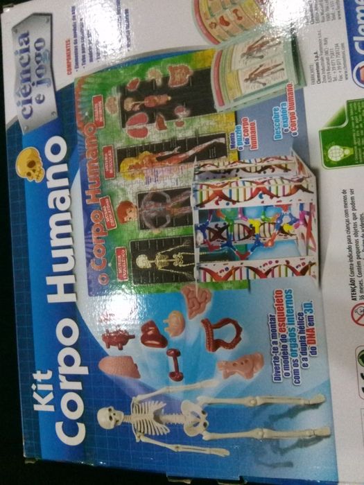 Kit corpo humano